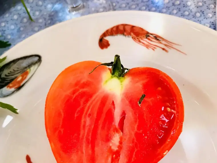 Frisch zubereitetes Bio-Mittagessen aus der Küche der Villa Bärlis